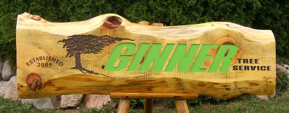 ginner